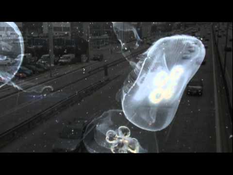 video art choreography of soul