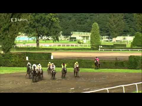 2014.09.13 IV. kvalifikace na 124.Velkou pardubickou s Českou pojišťovnou - Orphee Des Blins