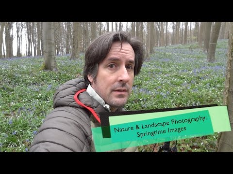 download lagu mp3 mp4 Springtime Images, download lagu Springtime Images gratis, unduh video klip Springtime Images