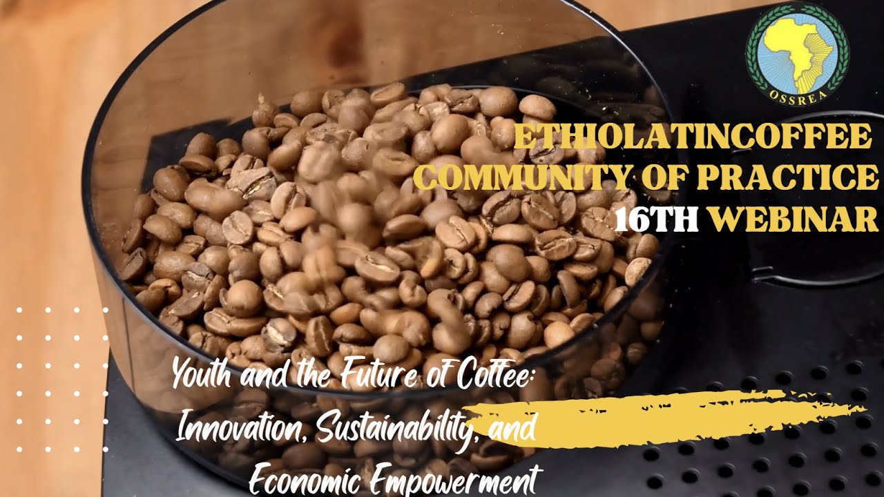 Youth and the Future of Coffee --- English Version