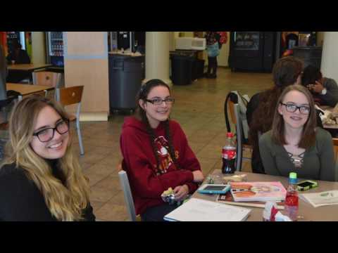 Welcome Back! Spring 2017 Semester