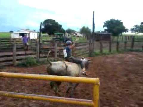 Flavio JR X Arrogante