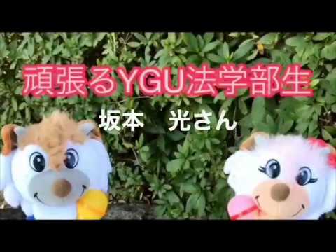 法学科 頑張るYGU法学部生（在学生編）