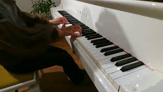 J.S. Bach Invention Sinfonia C-Dur  #bach #klavier