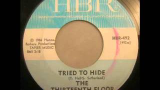 Thirteenth Floor Elevators Tried To Hide HBR 492
