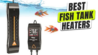 3 BEST Fish Tank Heater on Amazon