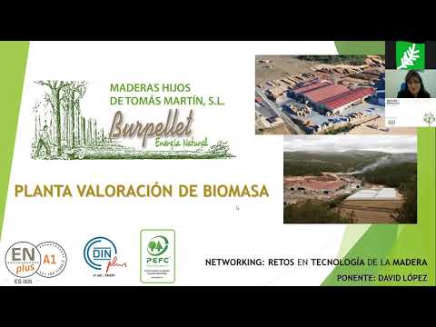 Webinar "Retos en tecnología de la madera". Charla a cargo de Óscar González Ingeniero.