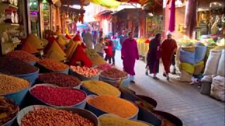 LA MIA CASA - DANIELE SILVESTRI (Acrobati, 2016)