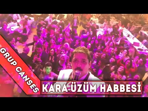 Kara üzüm habbesi - Video Selfie - Canses Düğün Organizasyon ve Grup Canses