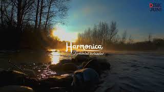 Download lagu Harmonica - Terlambat tertambat ft Detak Juni |  lirik Video mp3