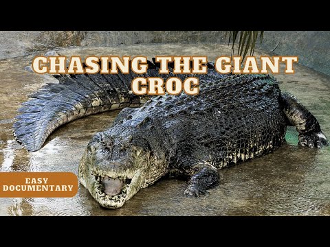 Chasing the Giant Monster Crocodile ???? - Full Easy Documentary