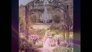 Dreams Come True by:Abraham McDonald and Rebecca Holden