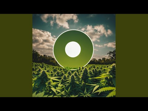 Pura Vida (Radio Edit)