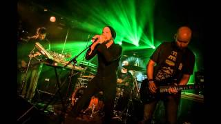 Iiwanajulma - Päivän Teesi