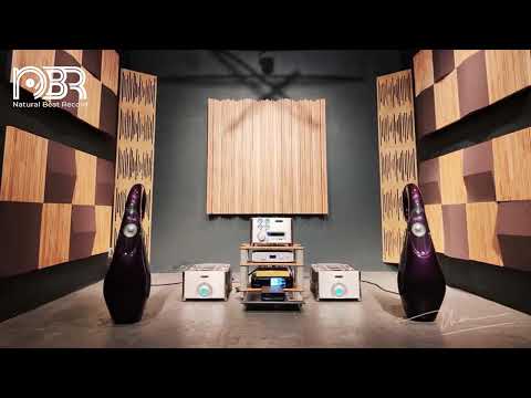Hi End Sound Test 24 bit - Audiophile Choice 2023 - Audiophile NBR Music