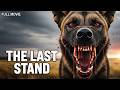 Fang The Haunted Valley Full Adventure Horror Movie