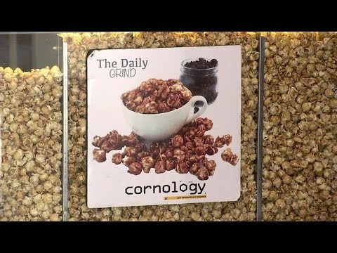 download lagu mp3 mp4 Cornology, download lagu Cornology gratis, unduh video klip Cornology
