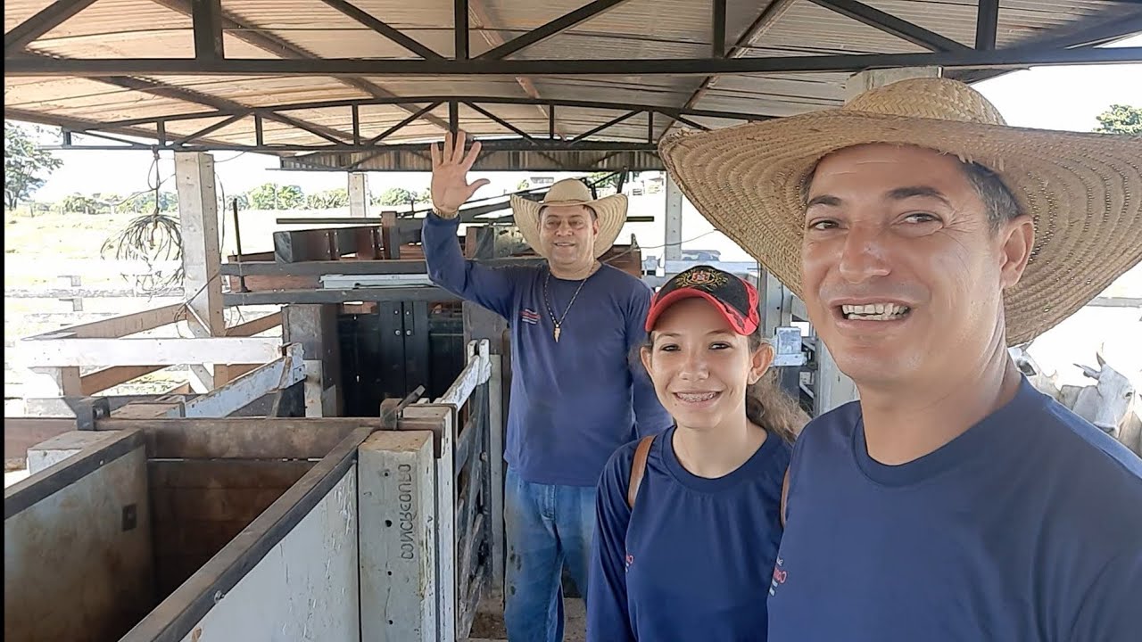 Dicas de um curral pré-moldado de régua e cordoalha muito bom