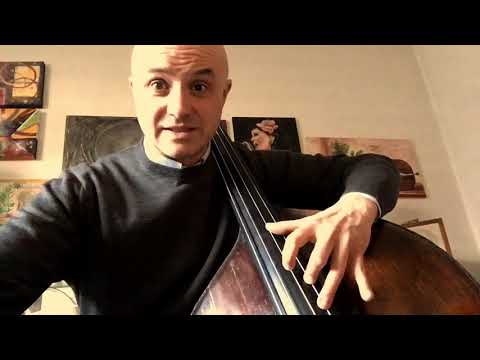 #39 INTRODUZIONE AL CAPOTASTO CORSO DI CONTRABBASSO DI MRSUNNYBASS