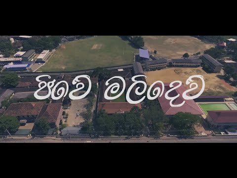 JEEWE MALIDEV(ජීවේ මලිදෙව් ) / BATTLE OF THE ROCKS SONG 2K19/MCK BIG MATCH SONG 2019