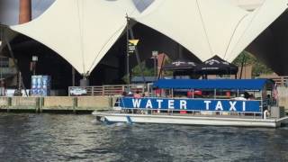 Avett Brothers Sound Check "Smithsonian" Pier 6, Baltimore, MD 06.04