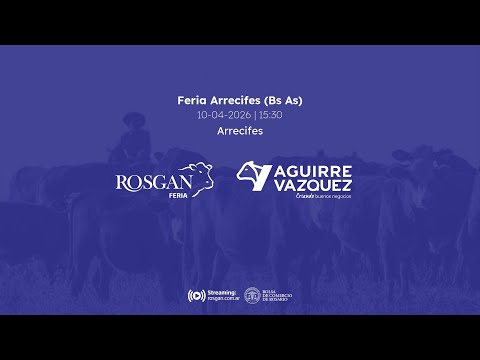 Feria Arrecifes (Bs As) | Arrecifes