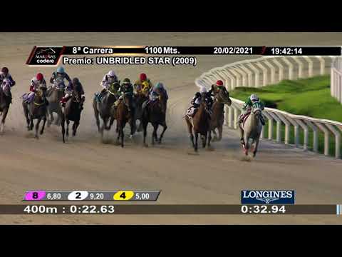 210220 c08 CEBOLLA SIETE