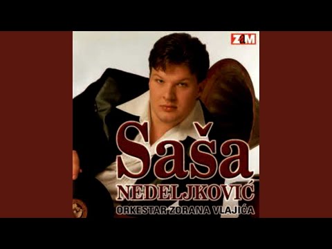 Download Sasa Nedeljkovic - Kristina MP3