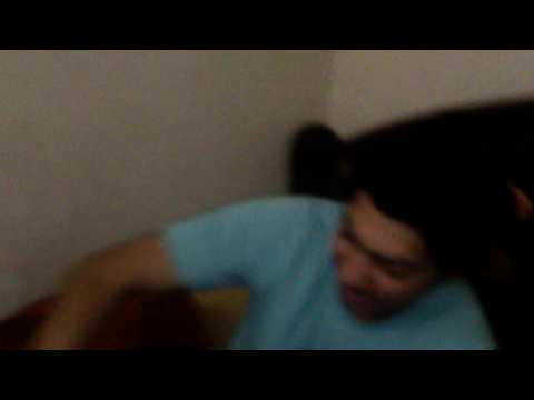 Fateh vs Nawaab Amrican Bully.