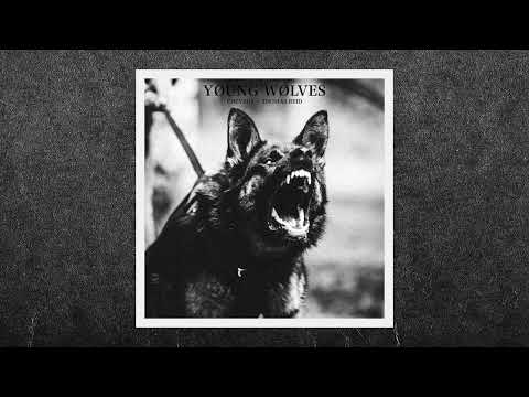 cøzybøy - young wolves ft. Thomas Reid (official audio)