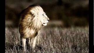 Afro Celt Sound System - Lagan