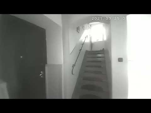 Mama wraca rano z psem  Sobota  25 09 2021