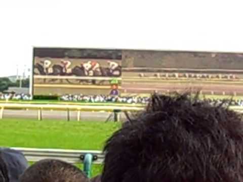 2015 Tokyo Yu shun Japanese Derby 3