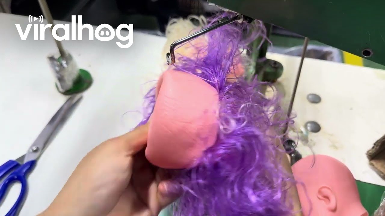 Purple Hair Sewn Into Doll Toy || ViralHog
