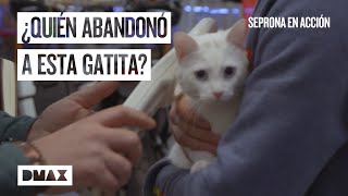 Thumbnail del capítulo