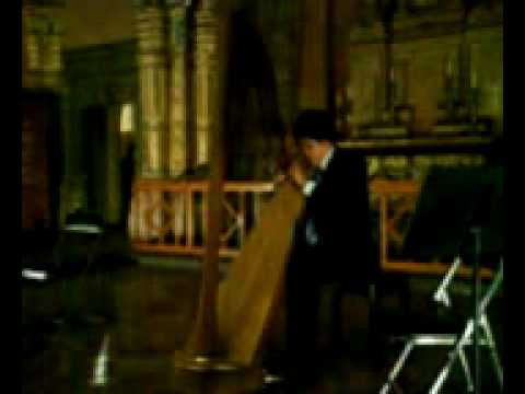 Being chased the firefly hides in the moon - S.McDonald, L.Wood