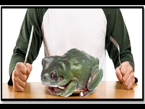 POJEDITE TU ŽABU! -  bez odugovlačenja / Brajan Trejsi/