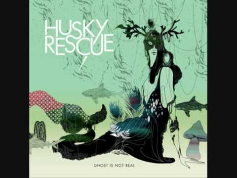 Husky Rescue - Nightless night