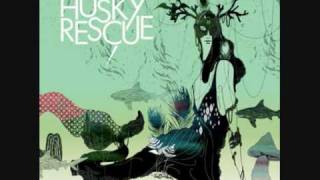 Husky Rescue - Nightless night