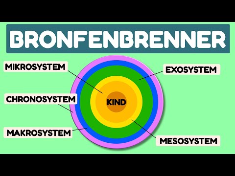 Bronfenbrenner | Ökosystemischer Ansatz - Sozialökologisches Modell mit Beispiel