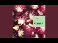 Halcyon (Edit)