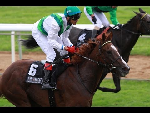 Hannover: Großer Preis der Dr. Klein & Co. AG (Listenrennen) - Siegerin: Hey little Görl