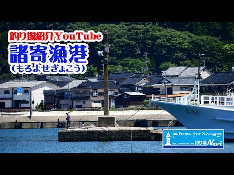 諸寄（もろよせ）漁港の釣り場紹介｜釣り場Navi