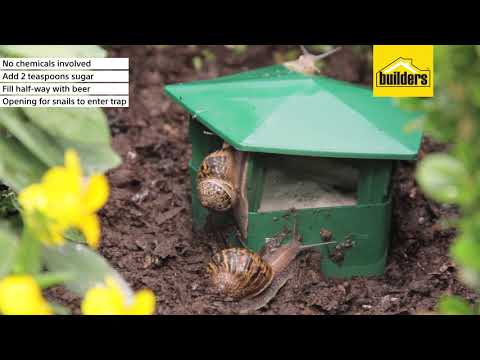 Eco Snail and Slug Trap for Gardens