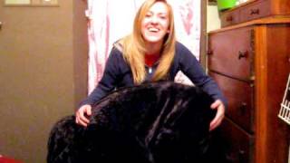 SPANK MY MONKEY