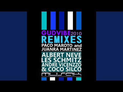Gudvibe 2010 Remixes (Albert Neve Remix)