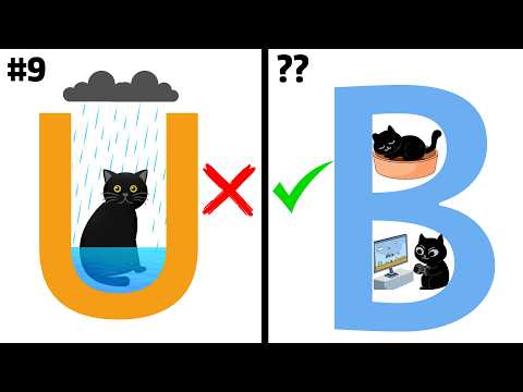 Top 10 Letters to Use as a Cat House