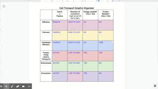 Cell Transport Graphic Organizer Biology Video Review