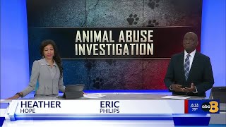 All defendants in love triangle involving bestiality out of jail on bond