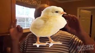 [YTP] Angry Grandpa makes a cheap tomater